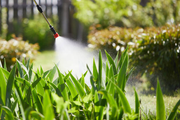 24/7 Emergency Wasp Removal experts in Decatur, AR