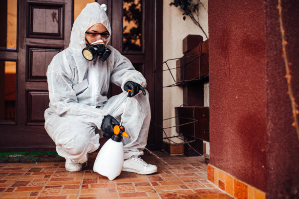 Reliable Wasp Removal contractor in Decatur, AR by Show Me Pest Control
